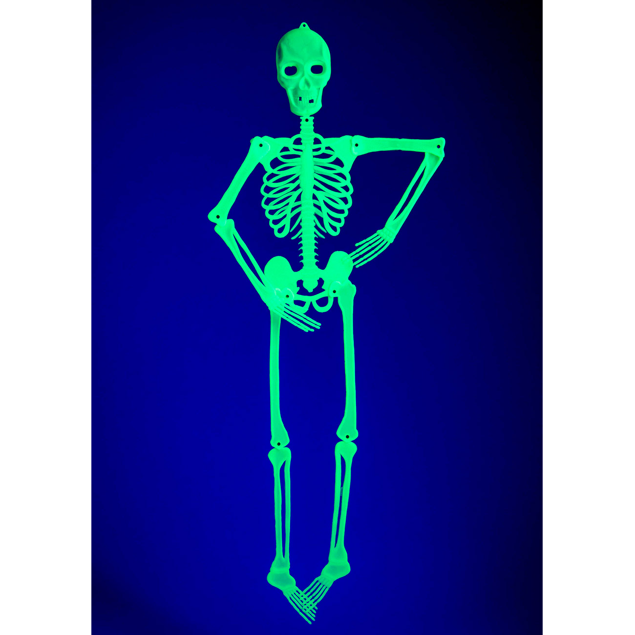 Halloween Deko Skelett 150 cm beweglich, fluoreszierend