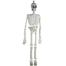 Halloween Deko Skelett 150 cm beweglich, fluoreszierend kaufen